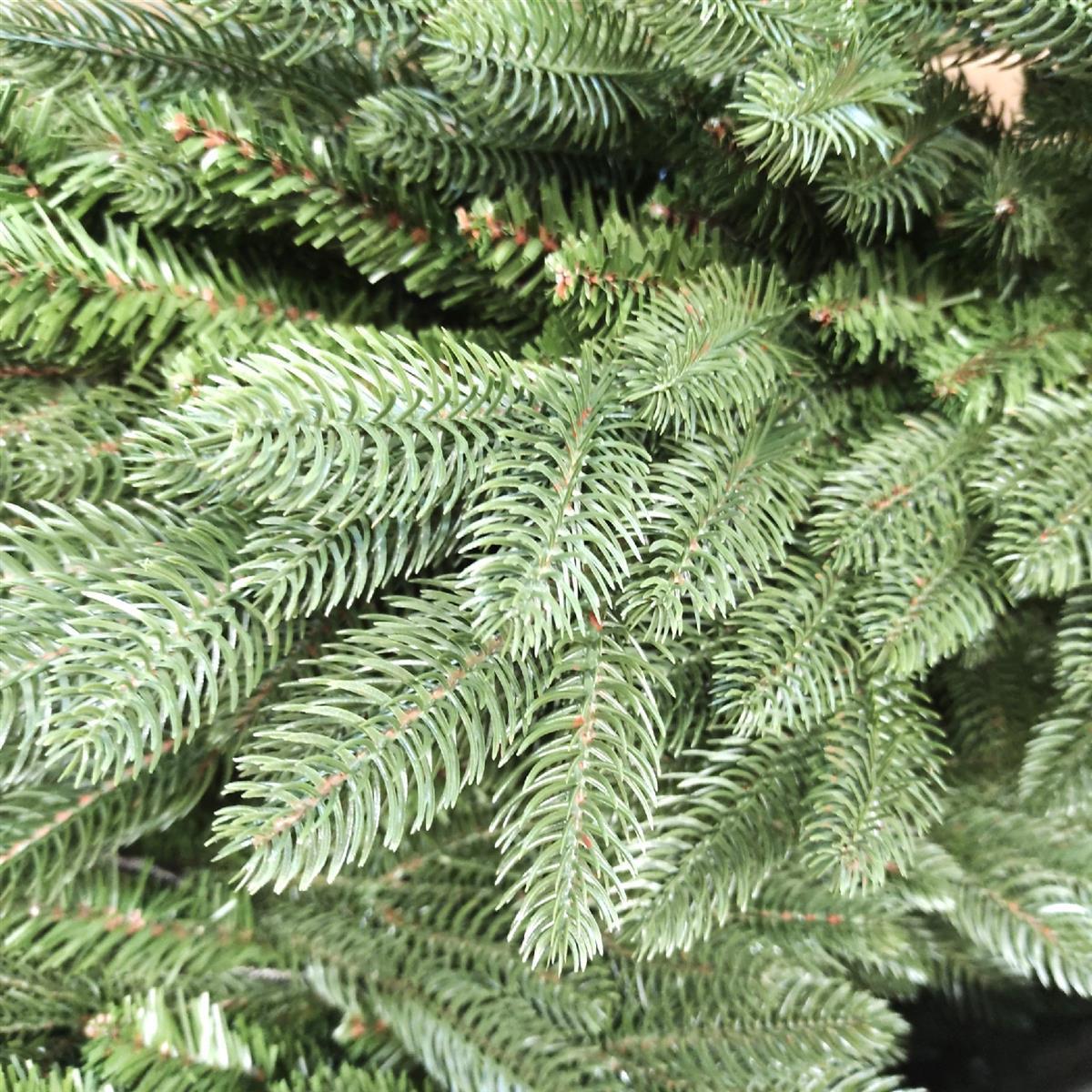Black Box Trees Asbury Künstlicher Weihnachtsbaum – H155 x Ø109 cm – Grün