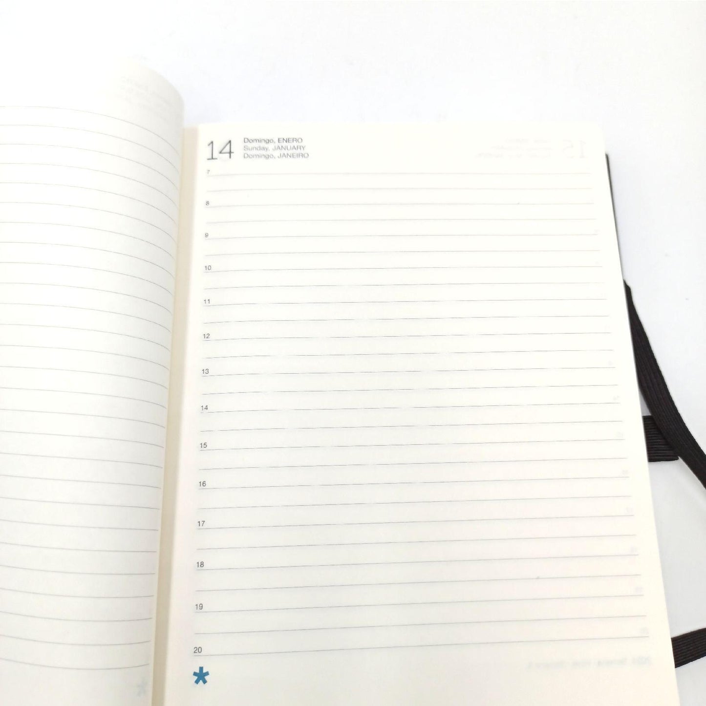 Miquelrius Jahreskalender Kalender Büro 2024 Plus Format Kupferstempel Kon