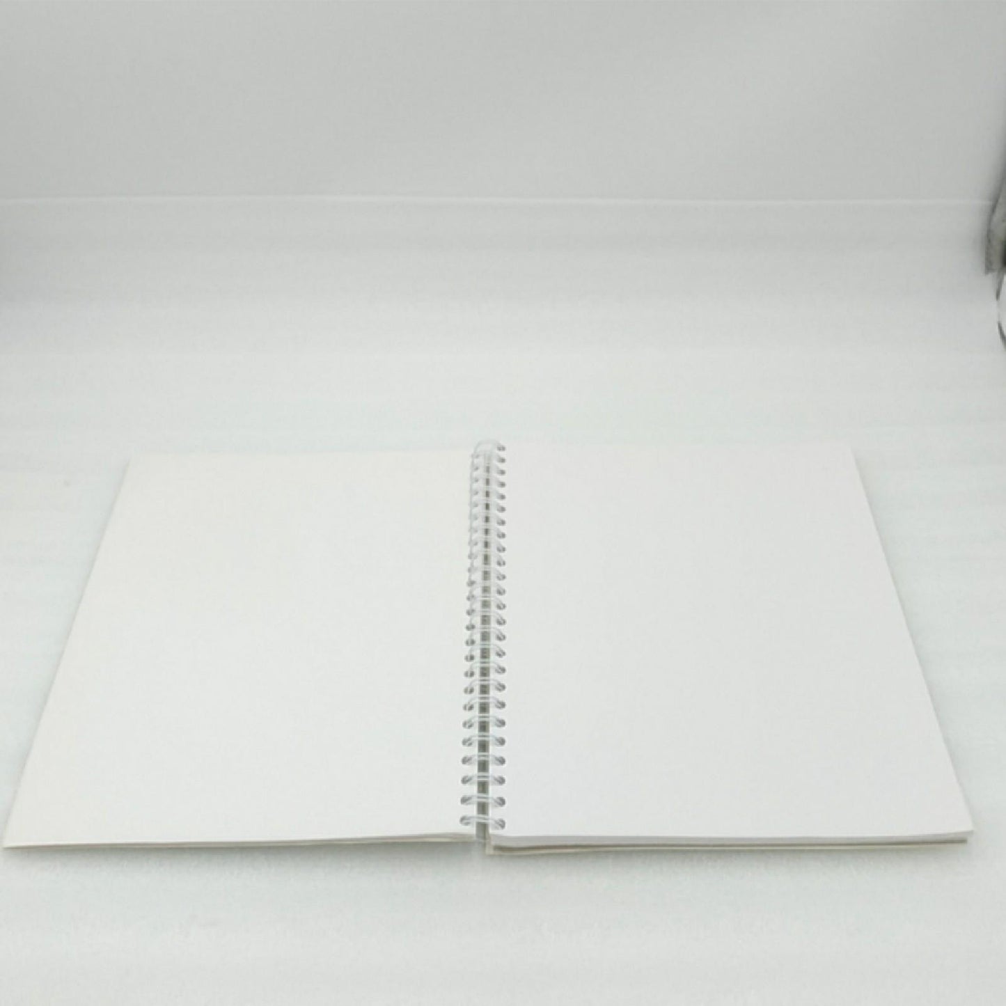 Clairefontaine Skizzenbuch Malblock Kreatives Zeichnen Herbarium Paint On Spiralbindung