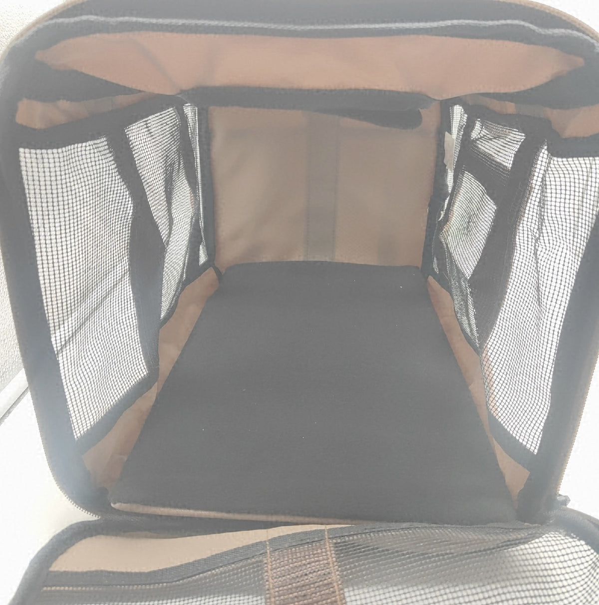 BELLA PAL Katzentransportbox für Katzen Welpen bis 7kg 42x28x28cm Kunststofftierbox transport