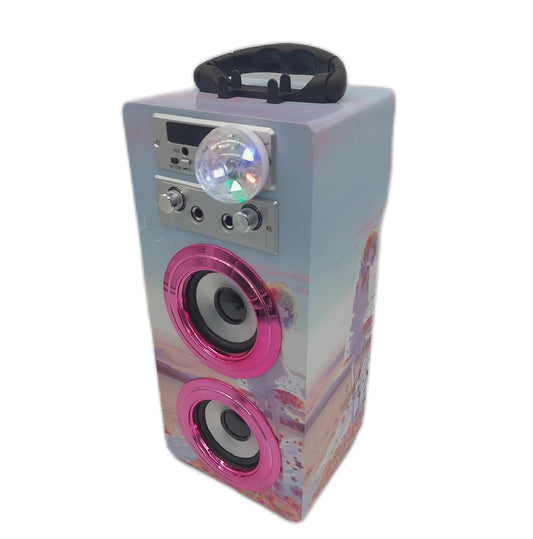 DYNASONIC Karaoke 2 Mikrofonen tragbarer Karaoke Maschine Bluetooth Lautsprecher